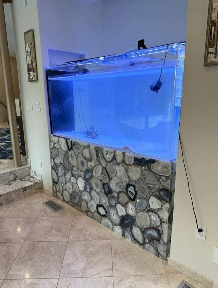 Custom built-in aquarium with agate stone base and blue LED lighting in Brooklyn residential home